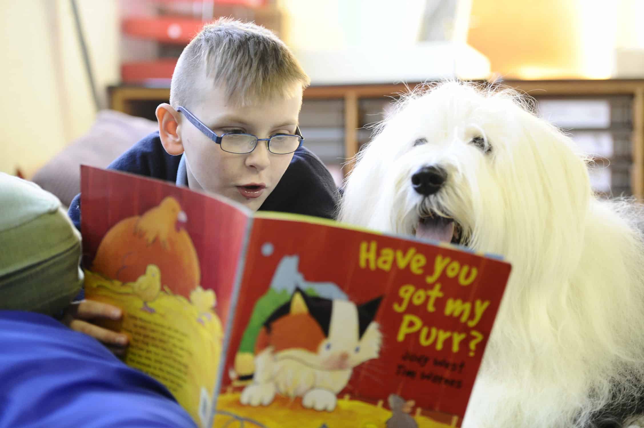 Quando i bambini leggono ai cani la loro capacità di lettura e la loro fiducia in se stessi aumentano. Il Kennel Club spiega perché è utile addestrare i cani perché ascoltino i bambini leggere nelle scuole.